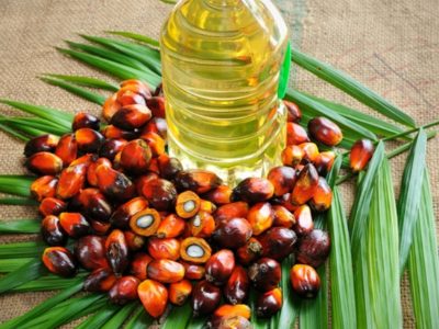 Palm Oil