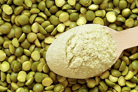 Pea Flour / Starch