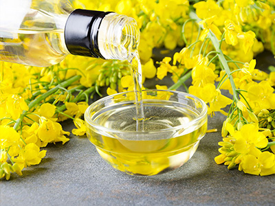 Refined Canola Oil