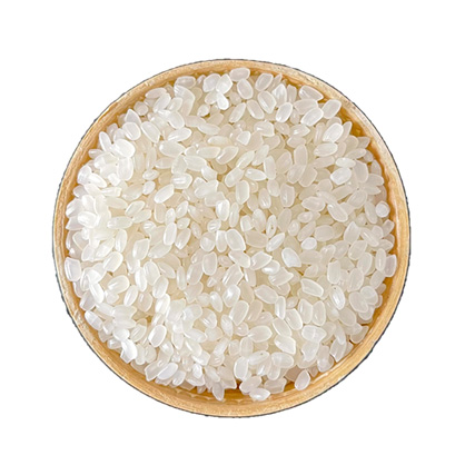 Japonica Rice